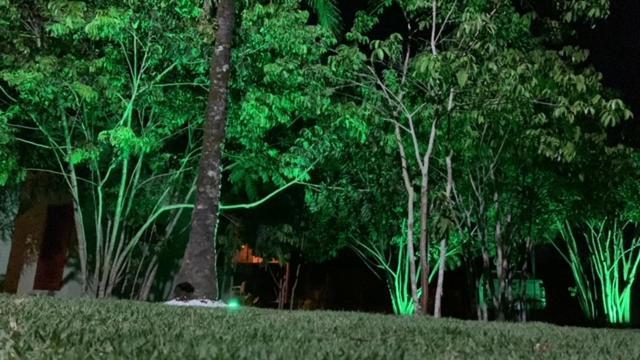 Bons Ventos Camping E Glamping Barra Grande  Eksteriør bilde
