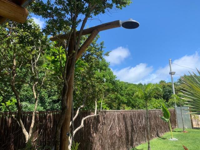 Bons Ventos Camping E Glamping Barra Grande  Eksteriør bilde